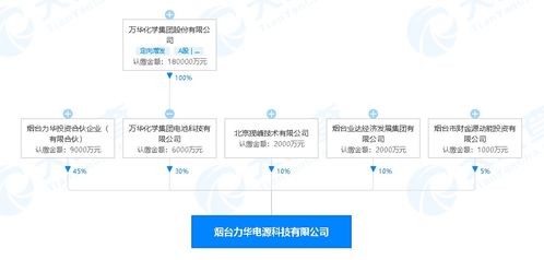 萬華化學進軍新能源領域 煙臺投資2億元設立電源科技公司，賦能數字文創內容應用服務